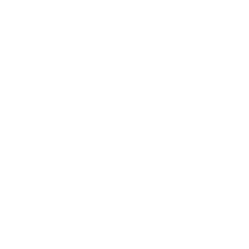 logo blanc