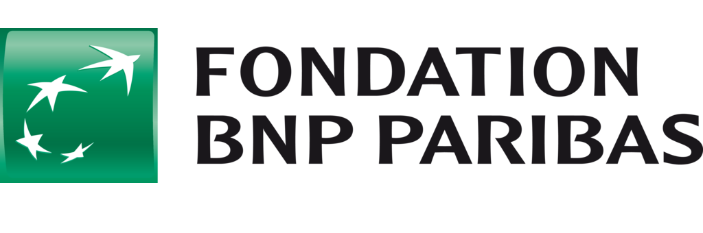 bnp paribas fondation logo 2233649050